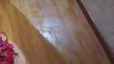 Guy black shirt sliding on ground and sticking tongue out