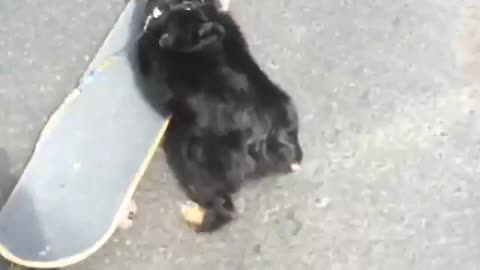 Regan Trying To Skateboard