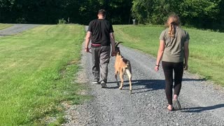 Walking Goat Destiny B 06.2021