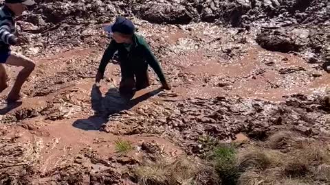 Mudslide at Little Girl's Point - UP