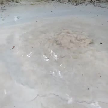 Bubbling Springs
