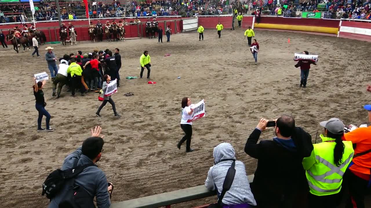 Fiesta during National day celebration in Chile