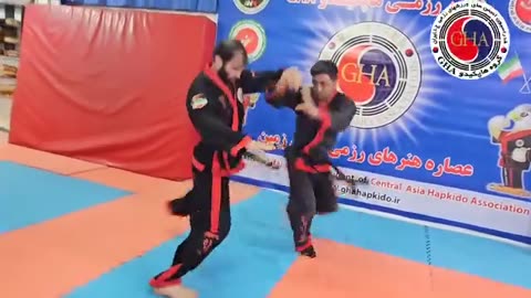Hapkido