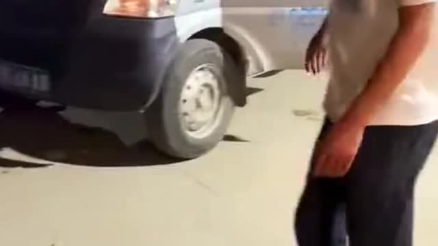 Dogs also know which car to sit comfortably!