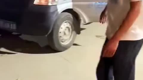 Dogs also know which car to sit comfortably!