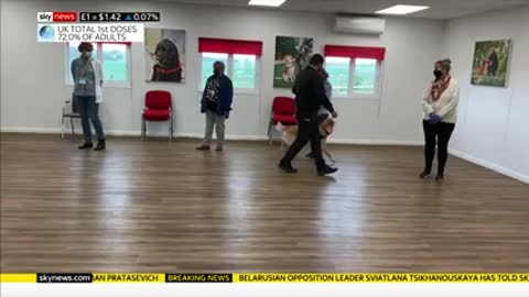 Detection dog