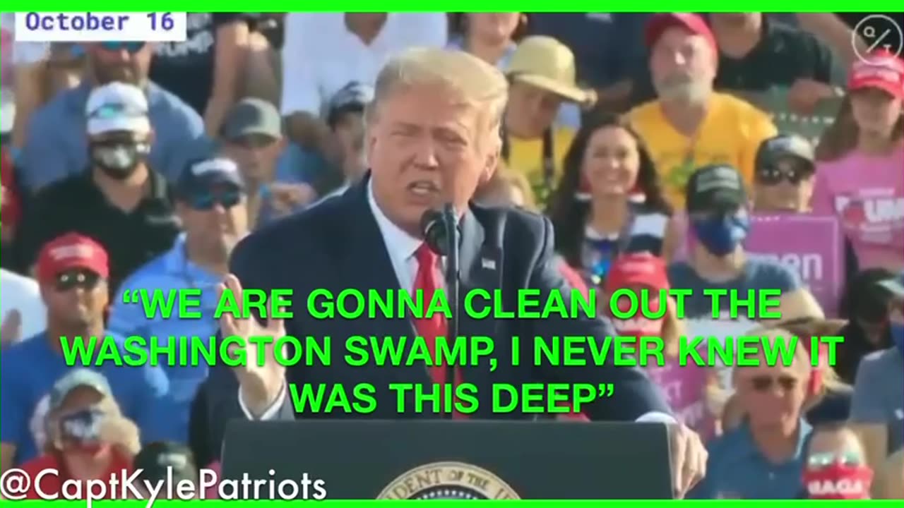 The DC Swamp