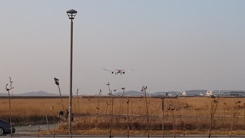 American Airlines Boeing787 Landing Scene