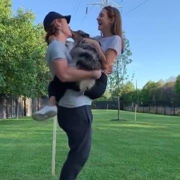 Cute dog help you with his cuteness