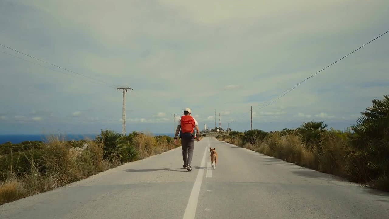 Man and dog walk together in middle of road