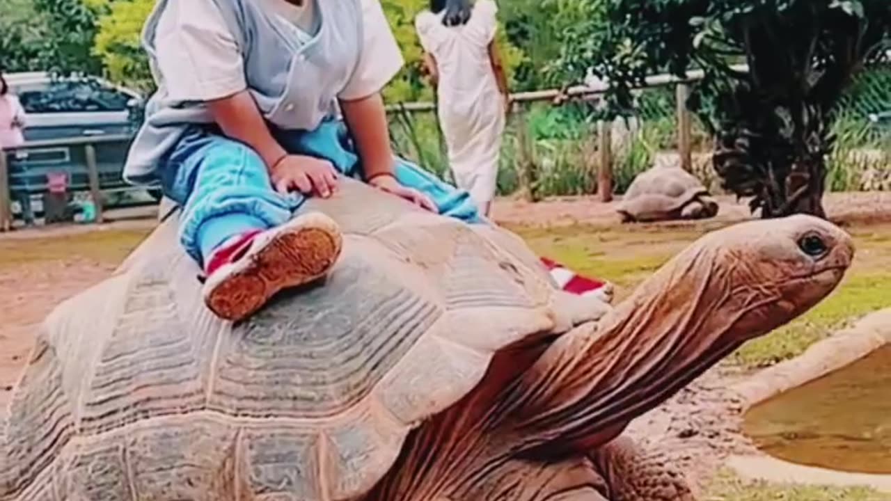 Cute babies vehicle.Amazing, Watch Till End & Enjoy.