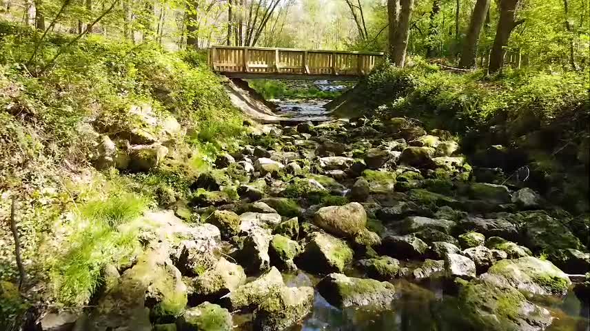 Brook dashed on the rocks