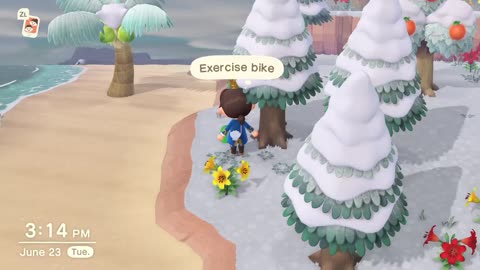 What kind of jerk throws a bike in a tree?