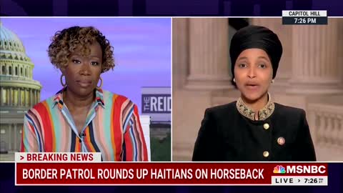 MSNBC Host Joy Reid alleges border patrol agents use whips