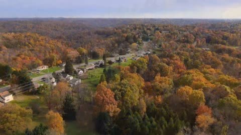 Enchanting Autumn Forests with Beautiful Piano Music