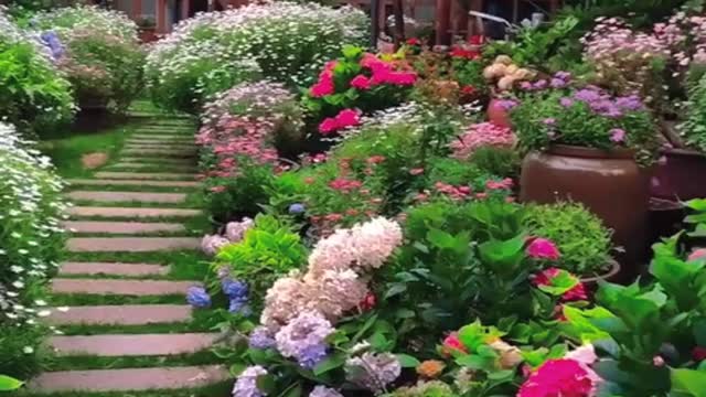 The scenery here is so beautiful that I like it very much