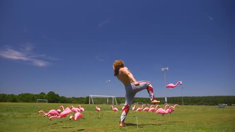 Jujimufu Flamingo Kick