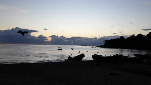 Sri Lankan Fisherman arriving to Shoreline