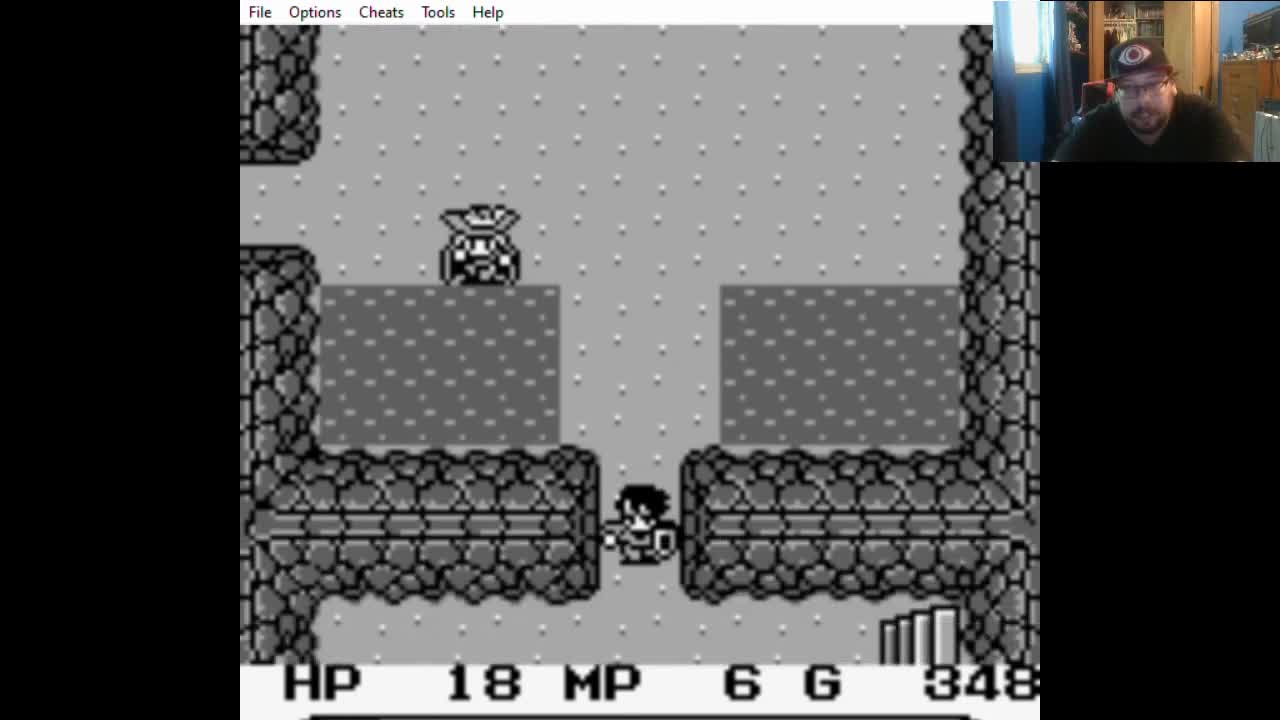 ZuperNEZ Plays Final Fantasy Adventure Part 2