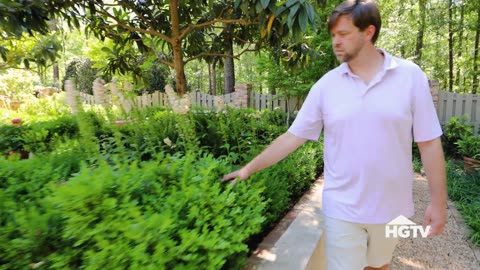 Gardening Tips for Beginners _ HGTV Design Tips