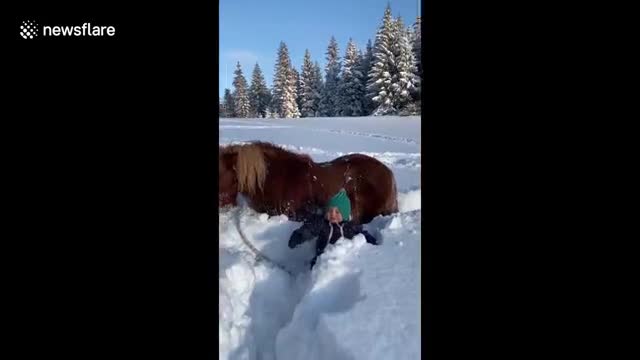 this adorable 2-year-old go on a horse ride with her cat