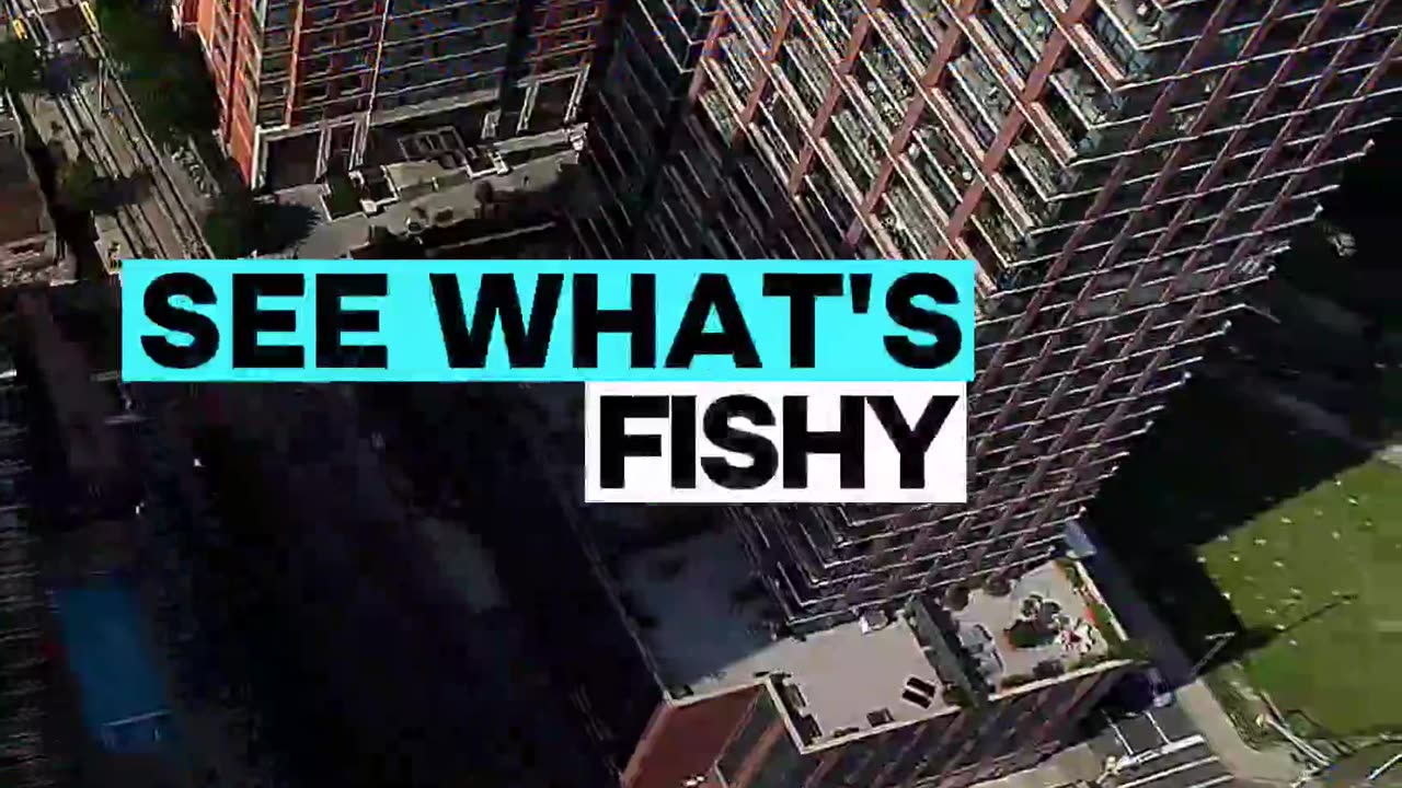 See What’s Fishy Jersey City - Episode 1