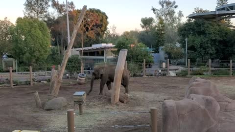 San Diego Zoo