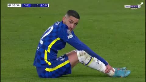 تشيلسي