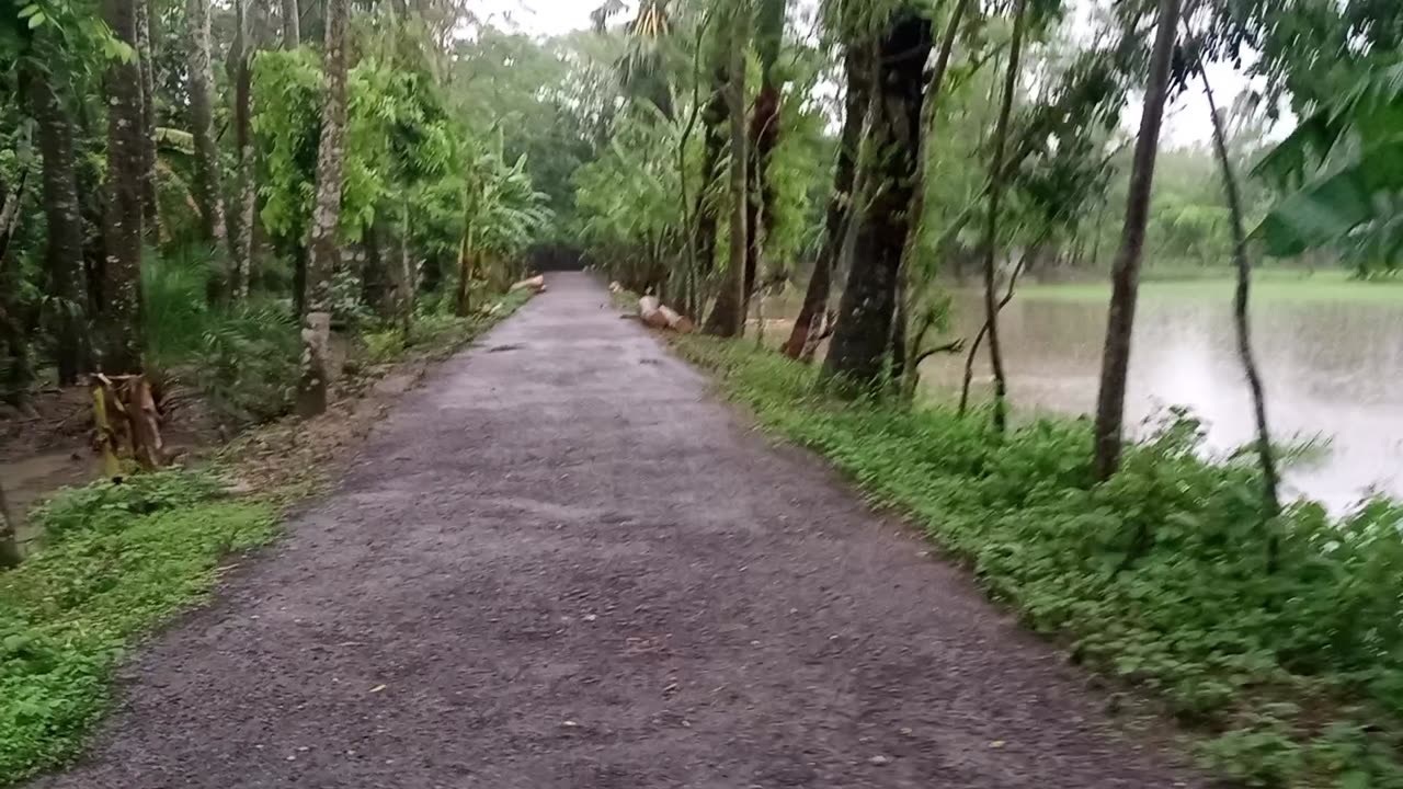 গ্রামের আকাঁ বাঁকা রাস্তা