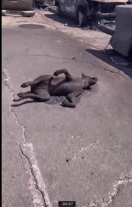 How can a normal fire ever do this?