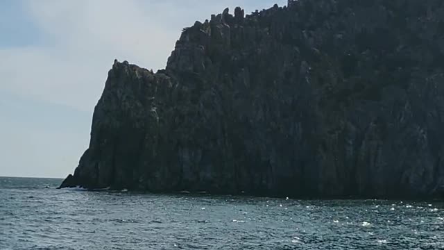 This is a video of a bird on the cool sea taken from a cruise ship.