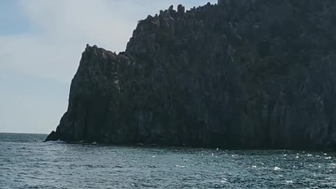 This is a video of a bird on the cool sea taken from a cruise ship.