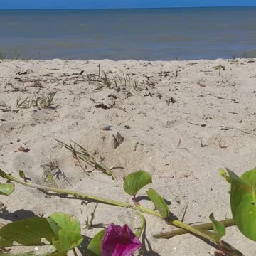 Paz e sossego na praia