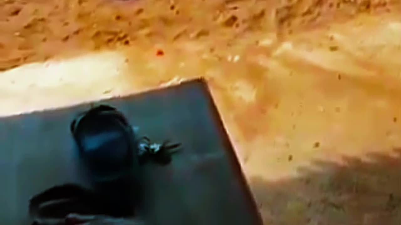 Funny video