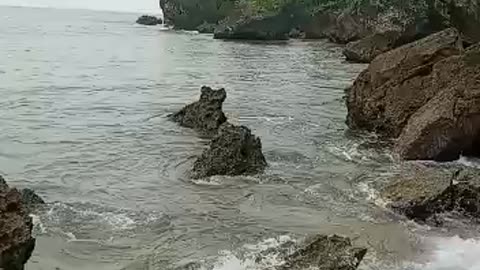 the rocks on the beach