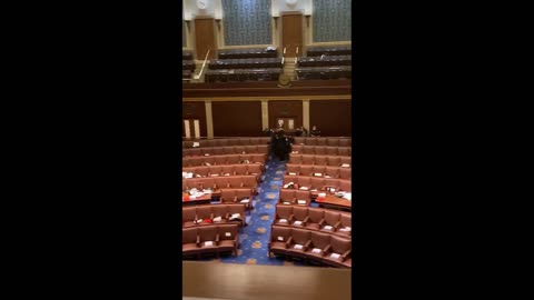 Protesters Have Occupied The U.S. Senate Chamber