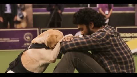 Unconventional love from a dog to his owner