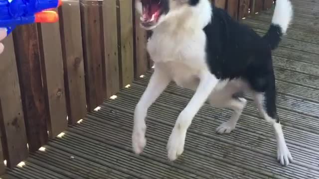 Hose fun
