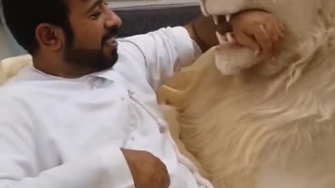 Dubai sheikh with lion