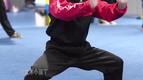 wushu master little chinese girl