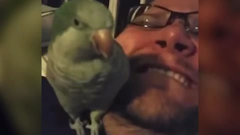 Smart parrot saying OMG to his owner (hilarious)