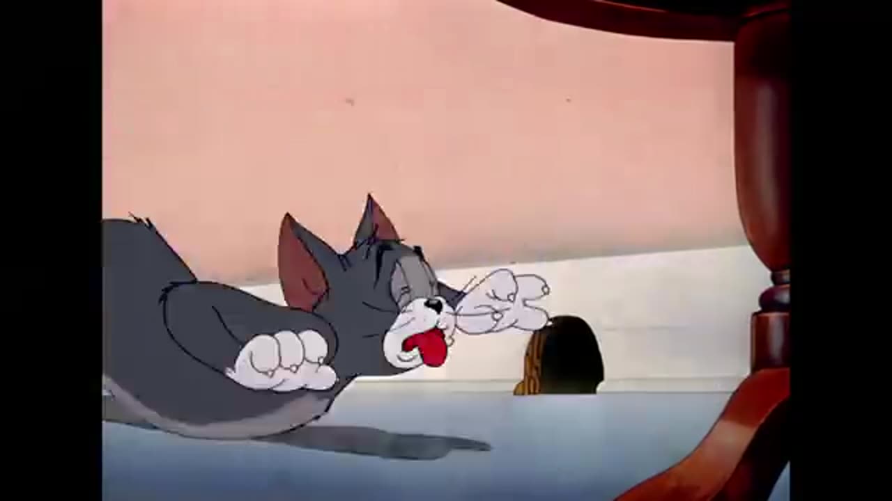 tom y jerry | Jerry el Tramposo | Recopilación de dibujos animados clásicos | WB niños