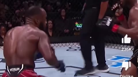 This is why MMA is best sport. Lost 4 rounds but wins in 5th via KO #MMA