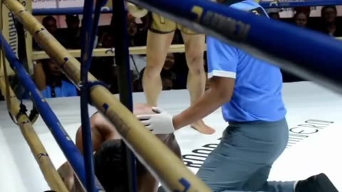 This Fighter forgot to fight back