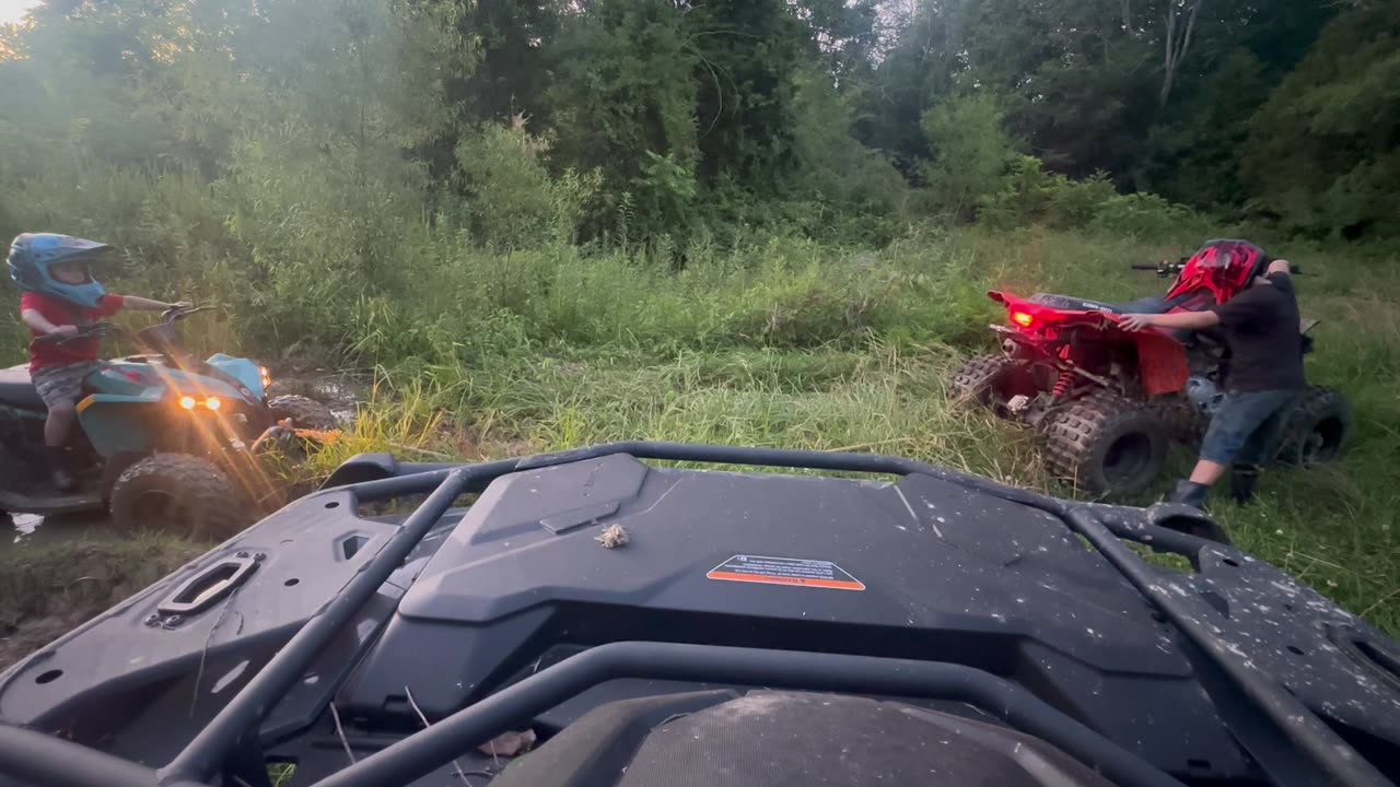 Big Brother Helps Little Brother Stuck in the Mud