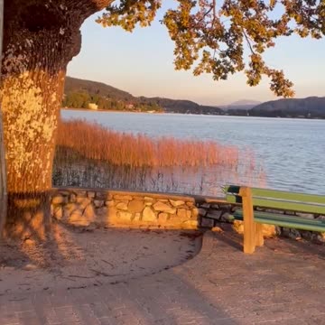 Freedom Cash Geocaching Paper Wallet - Freedom