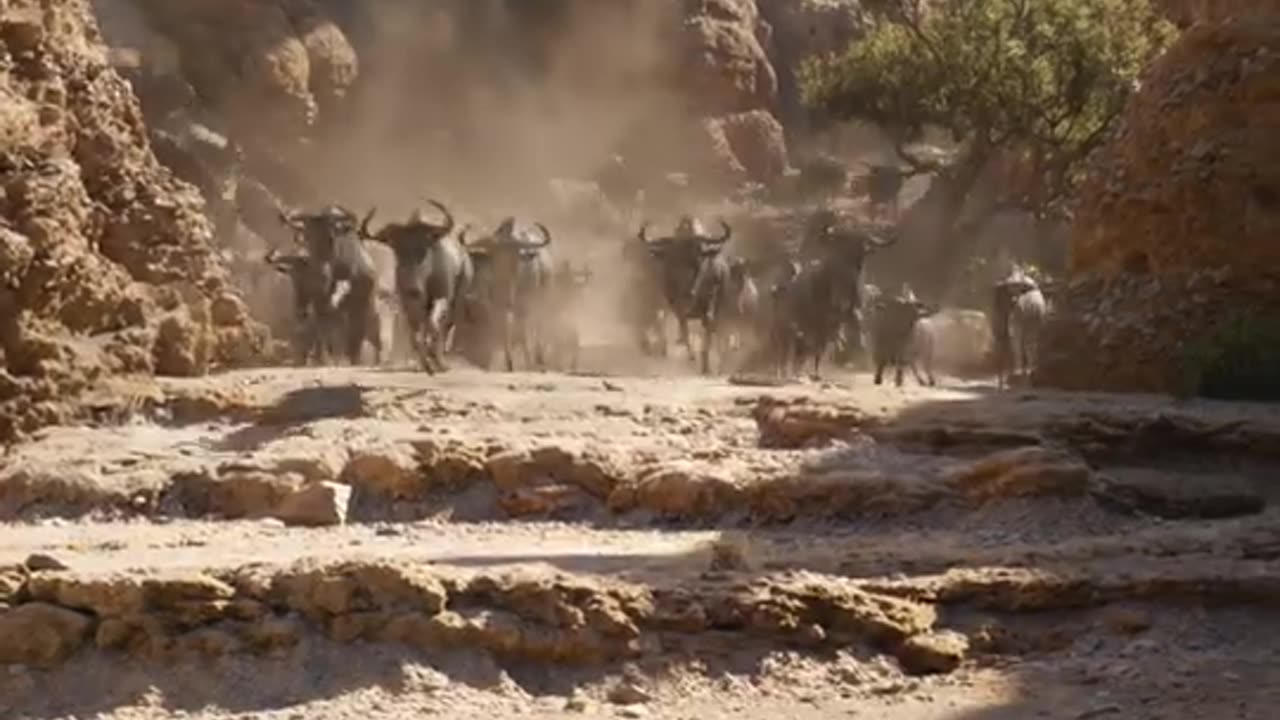 Best movie scene 2023