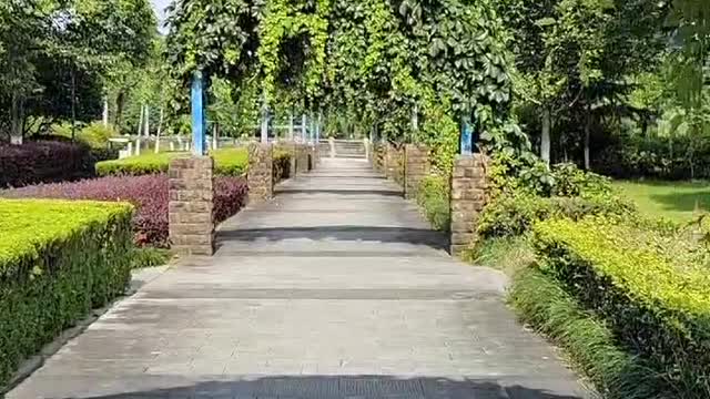 Count how many arches I went through.