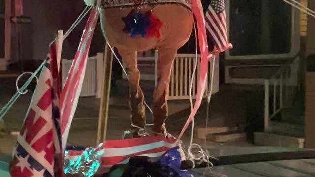 Fightin Trumparoo the Moose