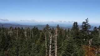 Clingmans dome